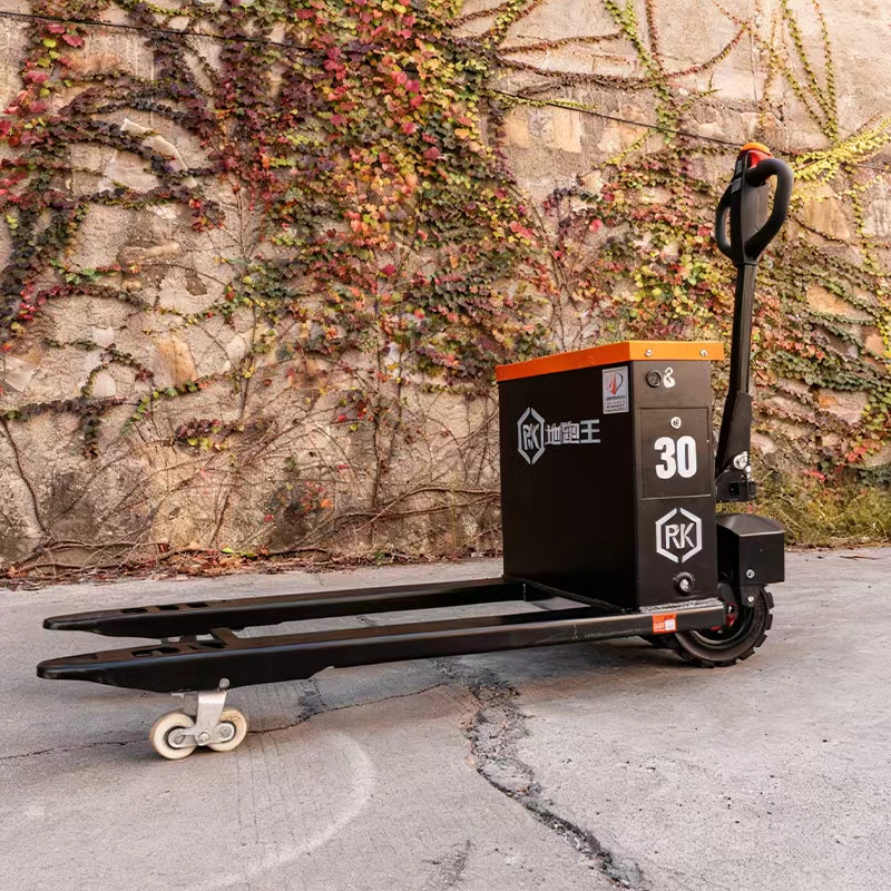 Two-Wheeled Off-Road Electric  – обзор и цена Electric Forklift