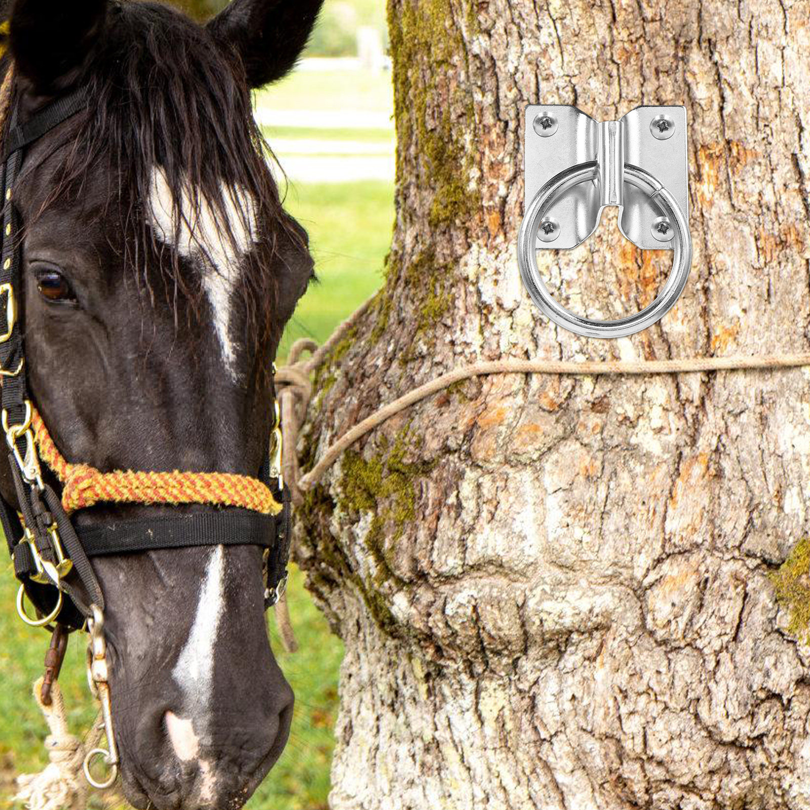 4Pcs Heavy Duty Horse Tie Ring – обзор и цена Heavy Equipment Safety Training